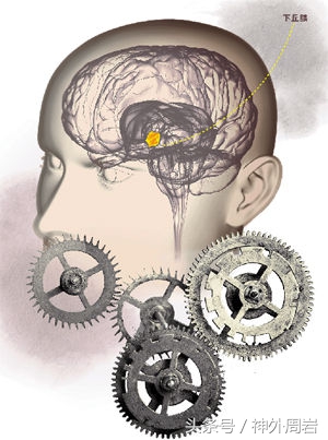 痴笑癫痫发作时会怎样,痴笑性型癫痫病发作是什么感觉