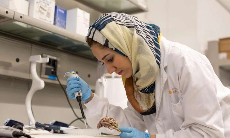 研究发现三种天然植物具有强大的抗癌潜力！