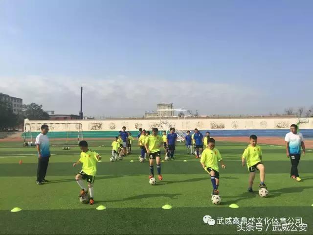 天马足球俱乐部夏令营,足球亲子活动嘉年华