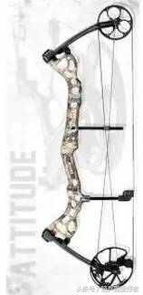 “*博兰**之牙到铁血战士”现代弓箭们的电影传奇