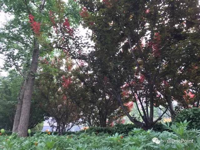 手机附加镜使用,你真的会用iphone辅助功能吗