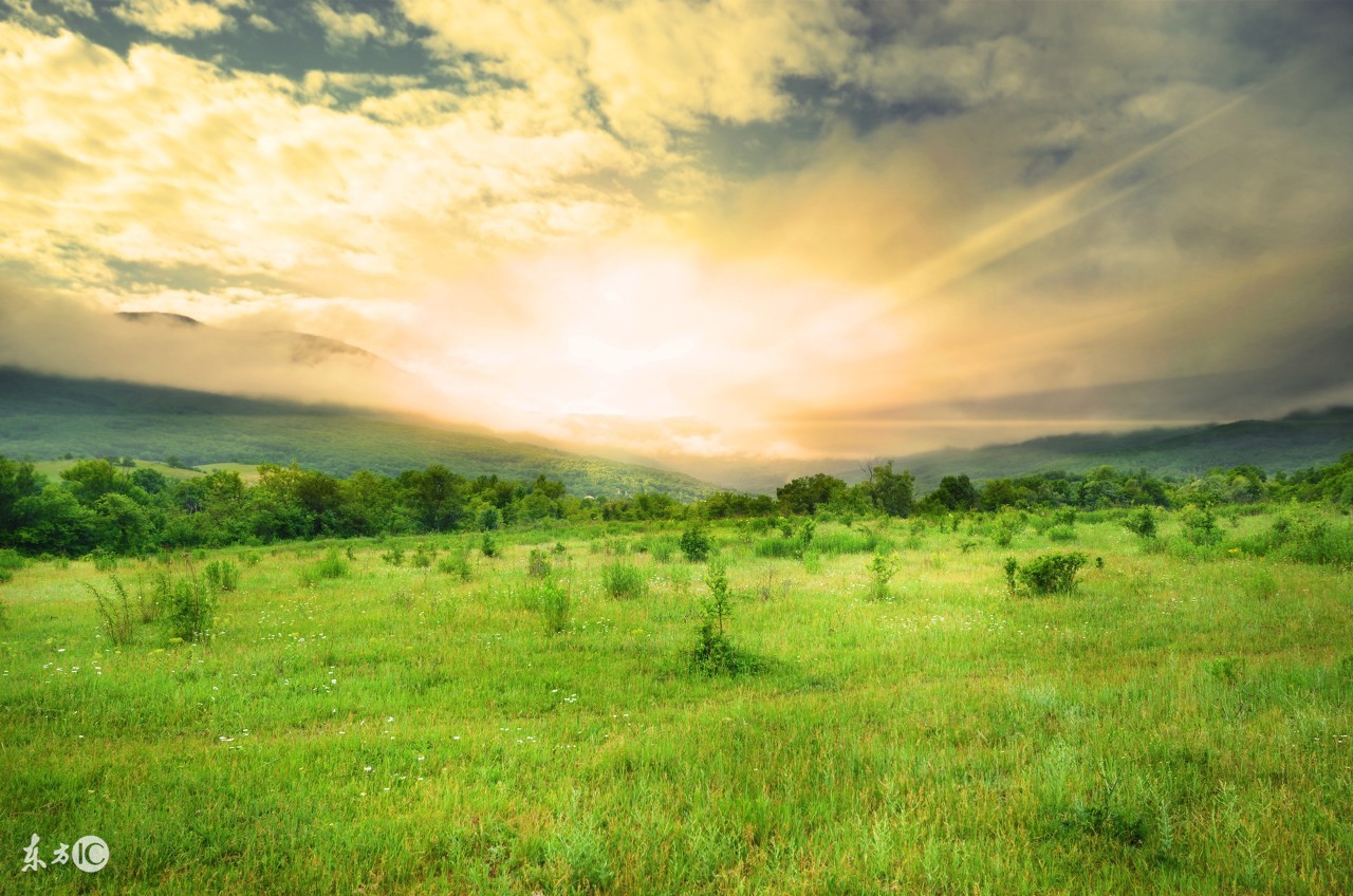 周公解梦梦见棺材和死人预示什么,做梦梦到棺材死人是什么征兆