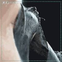 如何不挤就可以去黑头,黑头别再用手挤三个去黑头小妙招