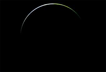 最原始的植物进化史,三亿年前的古老植物