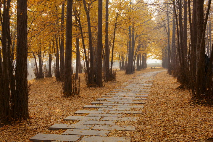 用许嵩唱许嵩的歌,用许嵩的歌当作配乐的一段舞蹈