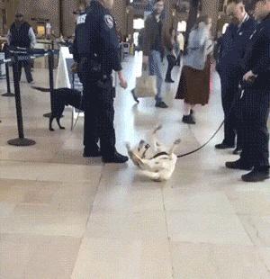 开会老板发火视频,开会领导突然发火怼你