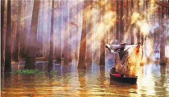 宁波东部最佳免费露营地,宁波免费十大露营地排名