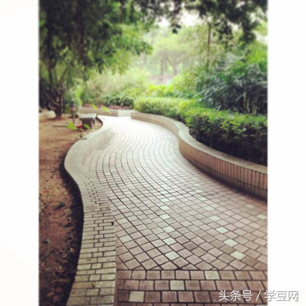 学豆观察︱在深圳高级中学读书是怎样的体验？