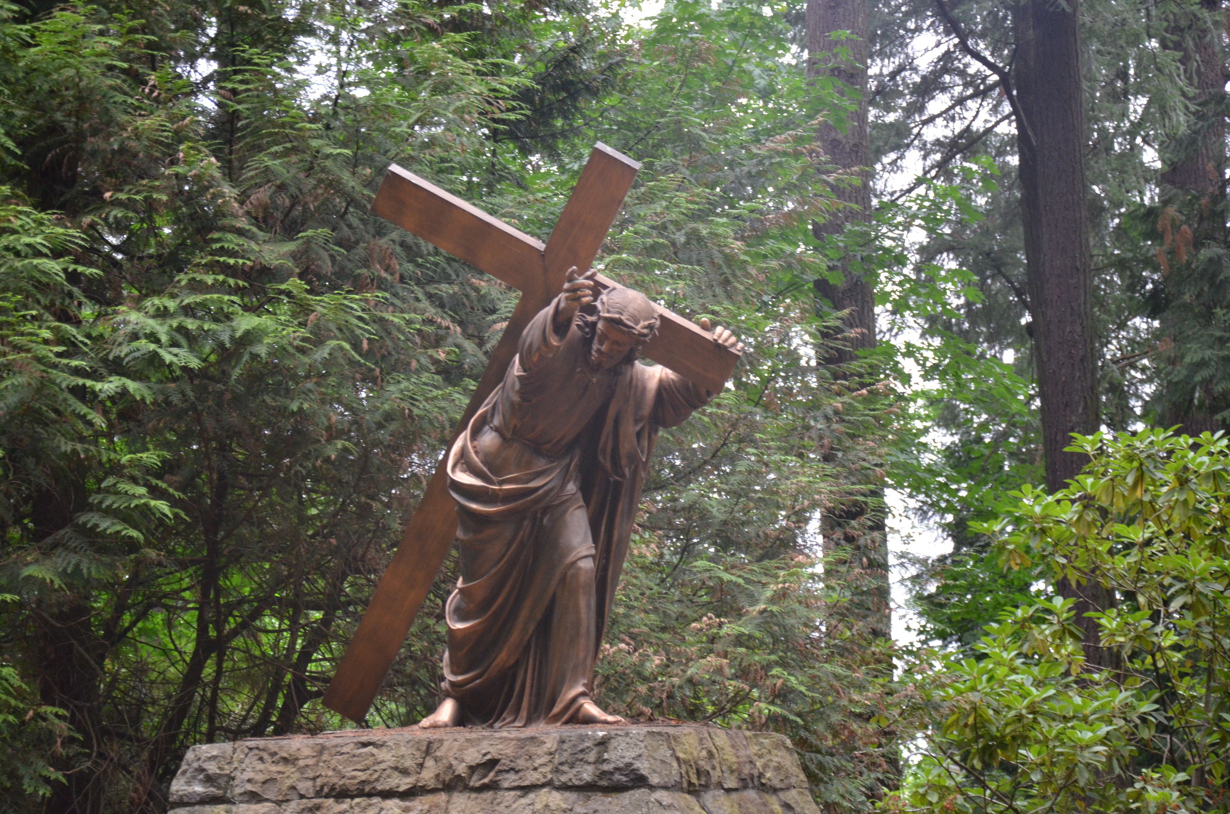 足球小将青少年篇21,足球小将足球小知识