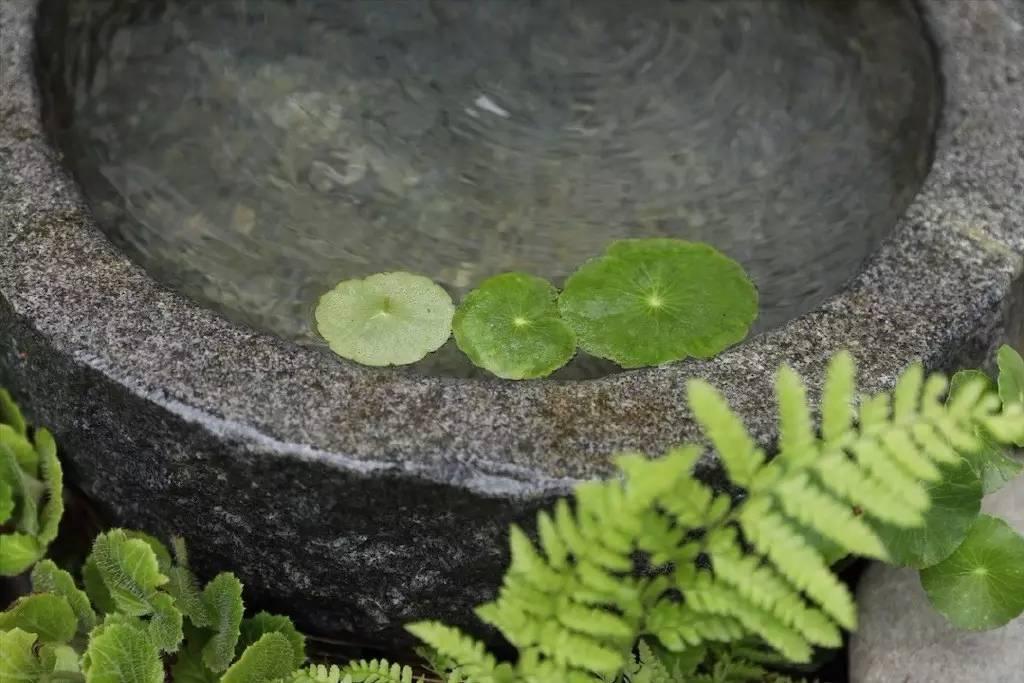 90后帅哥花3000元爆改出租屋后，又买了个破院子