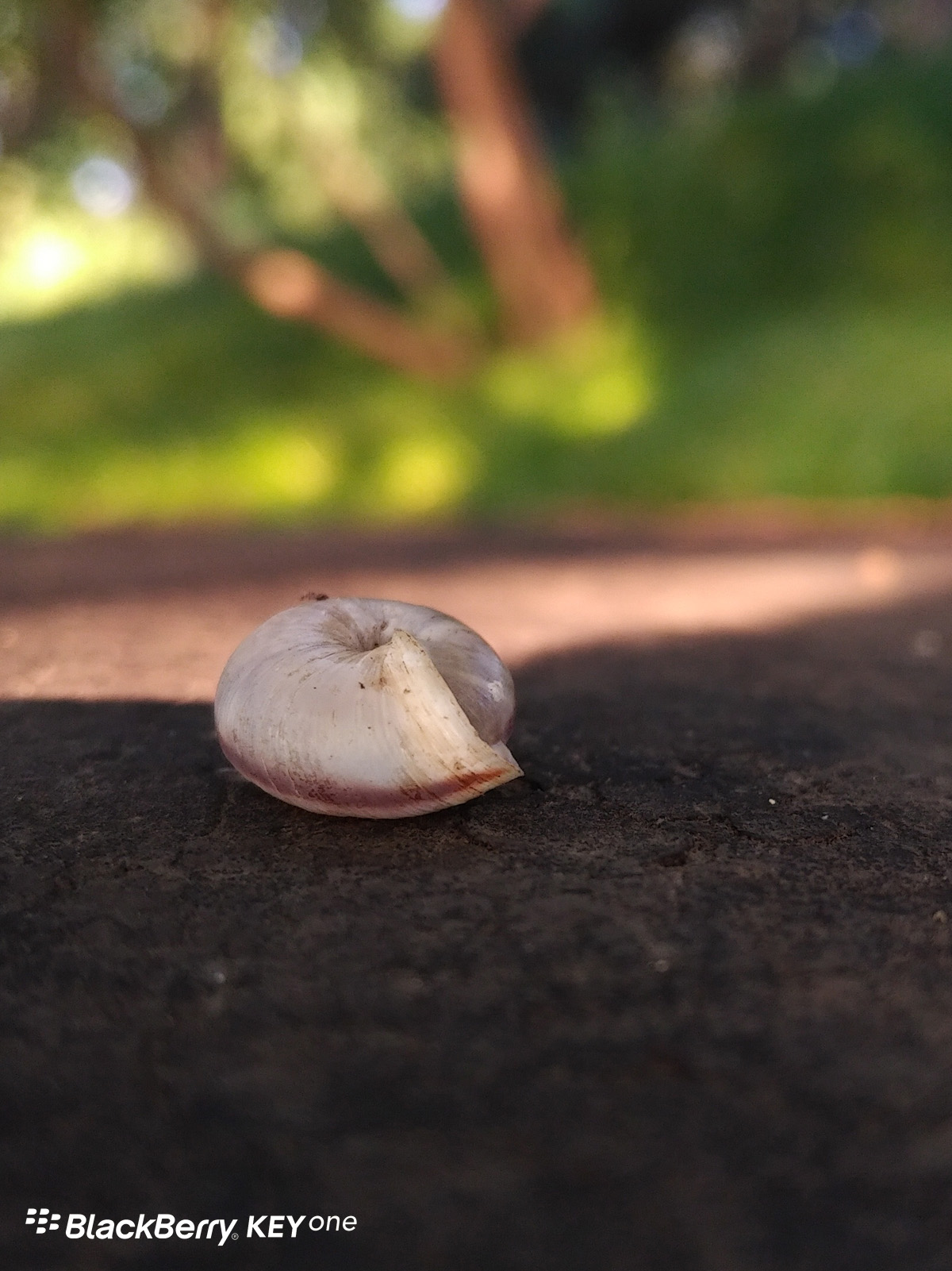 随手记录美好生活,黑莓KEYone拍照体验