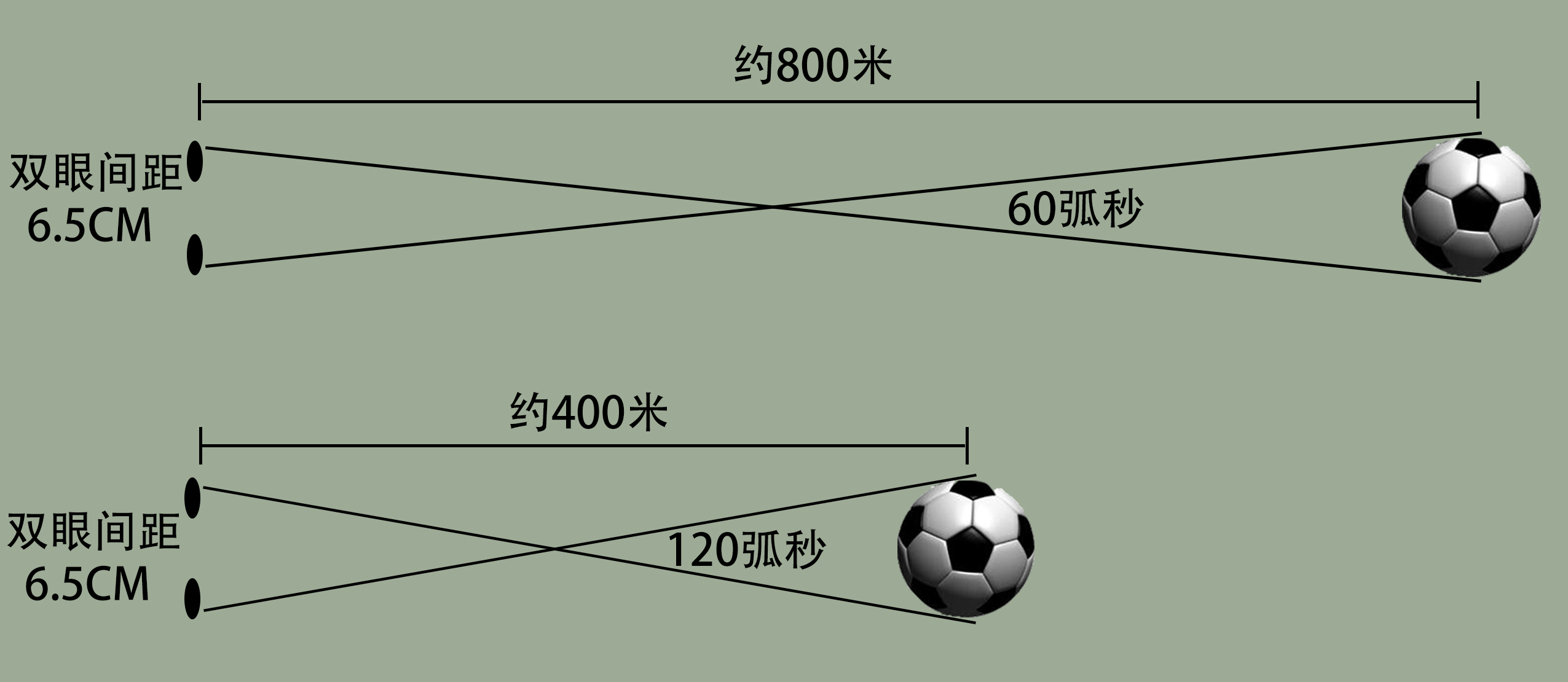 郑医生科普小知识,郑医生讲弱视