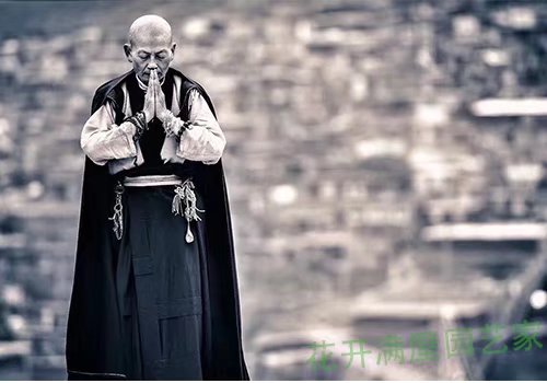 花开满屋园艺家一叶，一菩提，3500年了，只为了