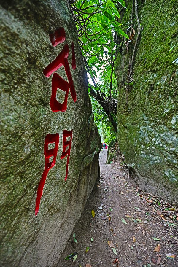 腾冲樱花谷风景区,腾冲十里樱花风景区