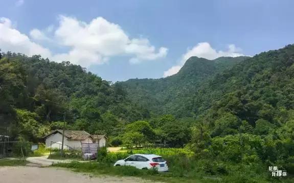 花如此多娇,花都如此多娇全文免费阅读