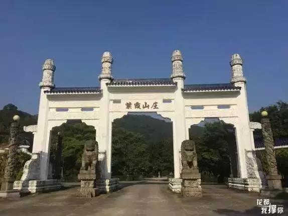 花如此多娇,花都如此多娇全文免费阅读