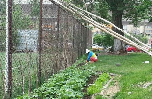 足球场的好处和用途,足球场还可以玩什么