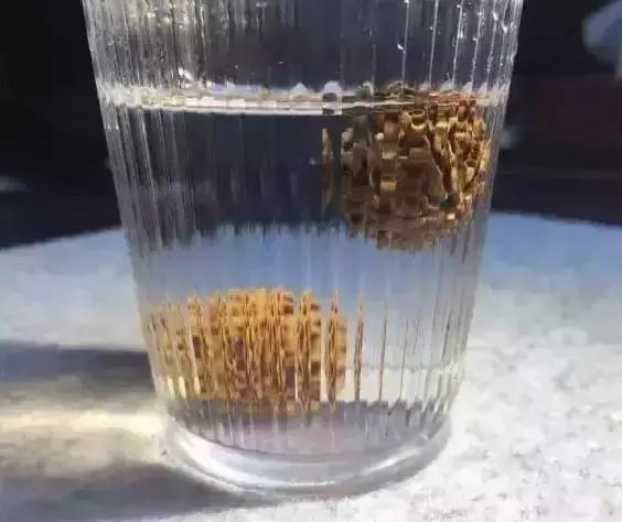 金刚菩提手串怎么分辨好坏,金刚菩提手串怎么辨别好坏