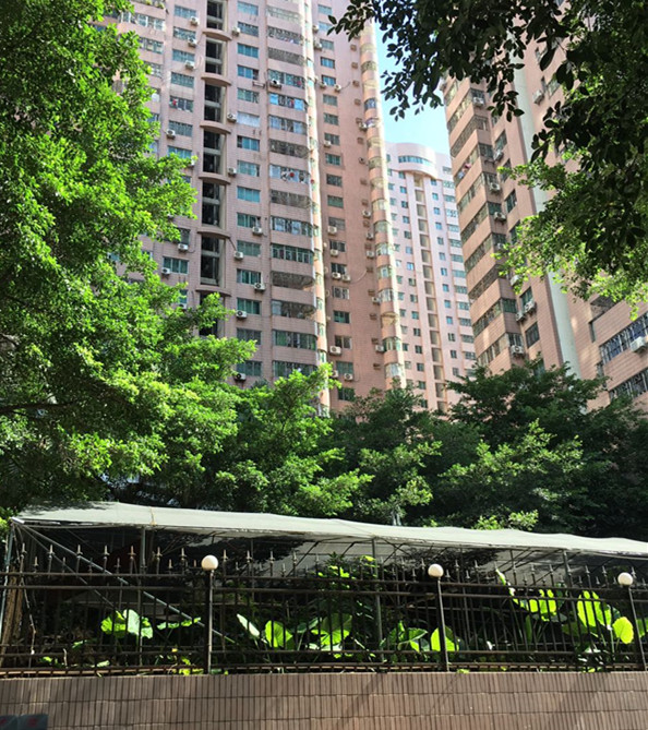 任督二脉是个笑话吗,深圳任督二脉在哪里