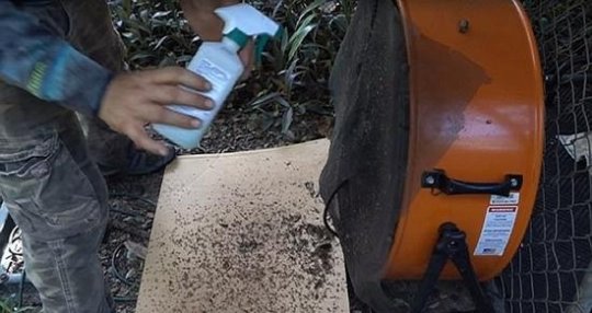 大J神:大一新生和大二学姐开学后不可描述的聊天记录