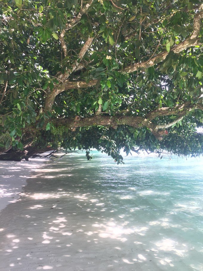 一起去帕劳旅游,去帕劳旅游自由行攻略