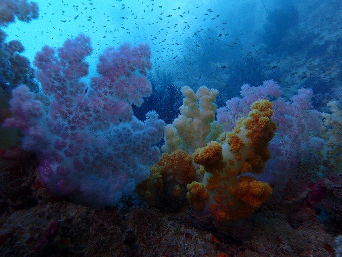 一起去帕劳旅游,去帕劳旅游自由行攻略