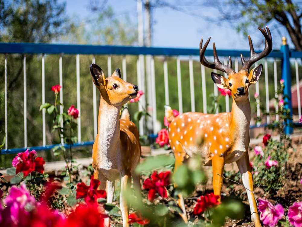 农家院精选评价,精品农家乐温泉住宿