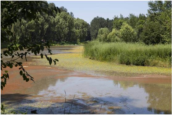 湿地公园最好的避暑圣地,北京避暑湿地公园名单