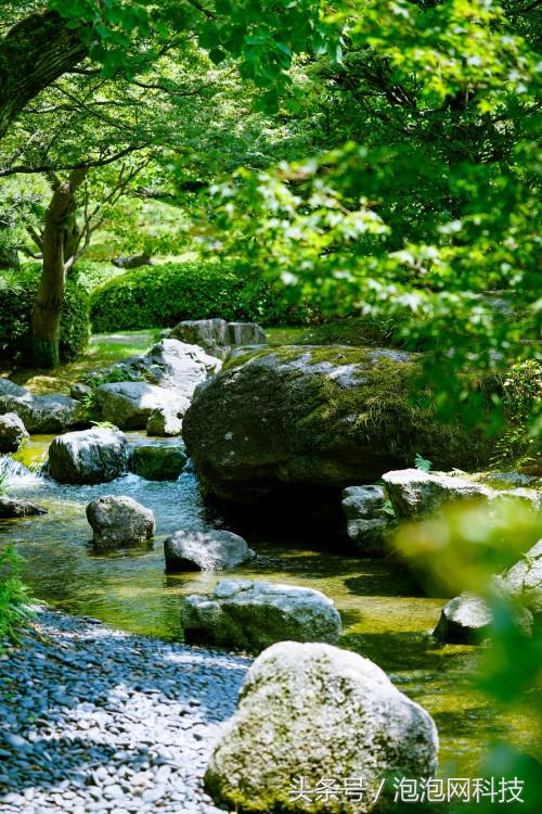 索尼微单a9最新消息,索尼a9新微单