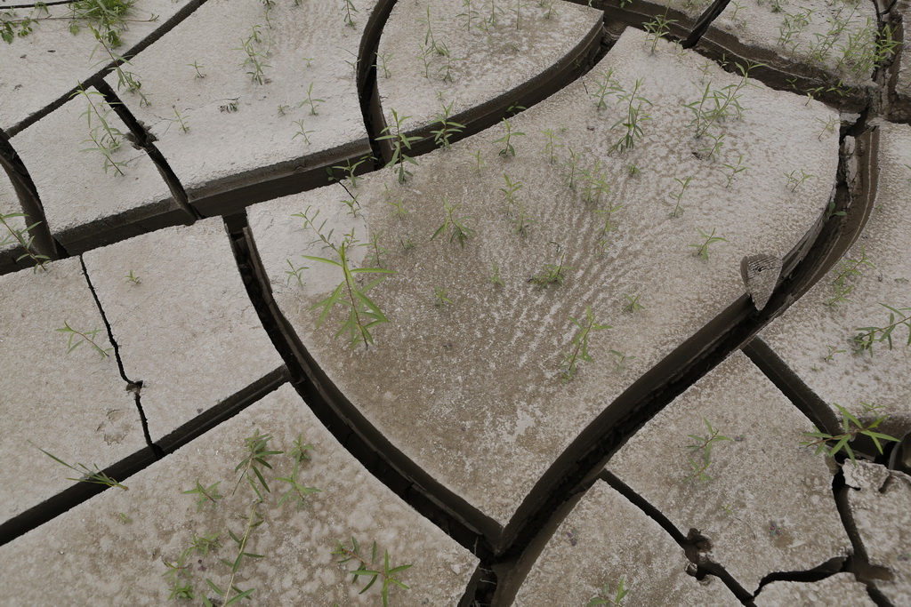 大武汉系列之武汉冶炼厂,大武汉系列之武汉印染厂