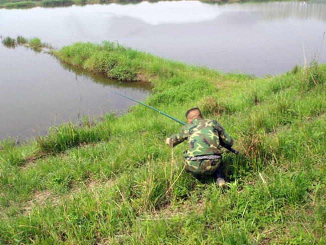 专家说鱼头小孩不能吃,鱼头哪一部分是小孩不能吃的