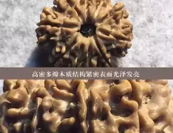 金刚菩提手串怎么分辨好坏,金刚菩提手串怎么辨别好坏