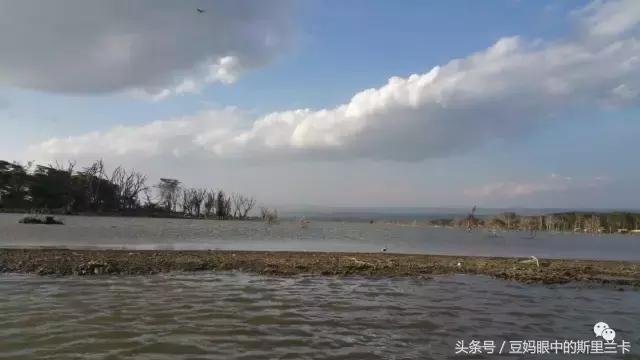 风动？树动？心动！致你，Kenya