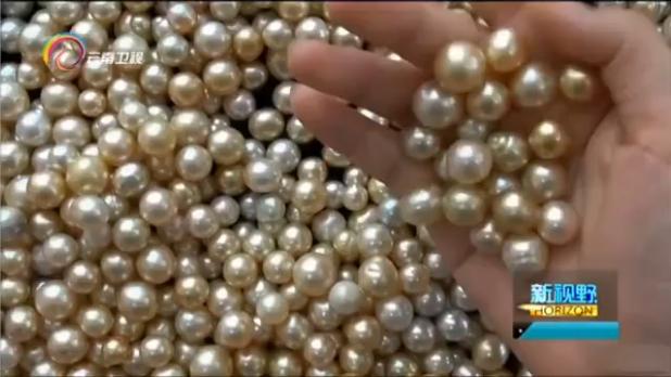 新视角淘宝分店,新视野新观察