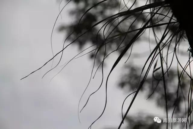 笔架山，一座仙游人必读的山