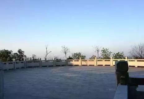 花如此多娇,花都如此多娇全文免费阅读