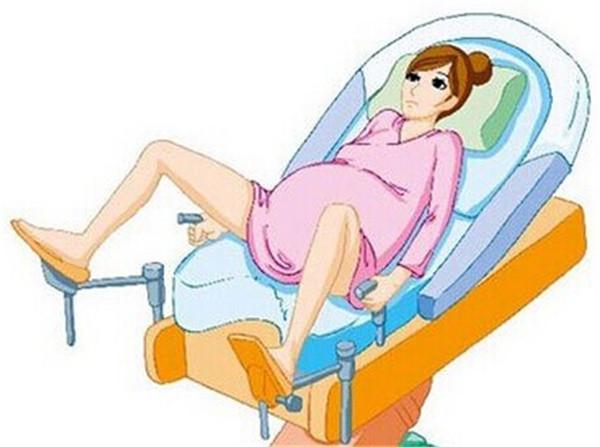 怀孕后要做的事情流程图文详解,怀孕做什么运动可以快速生产