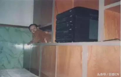 90后都关注什么,90后关注的热点