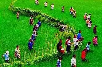 珠海的祭祖文化,珠海祭祖的地方有哪些