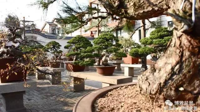 清逸园，一座闹中取静的“文人园林”