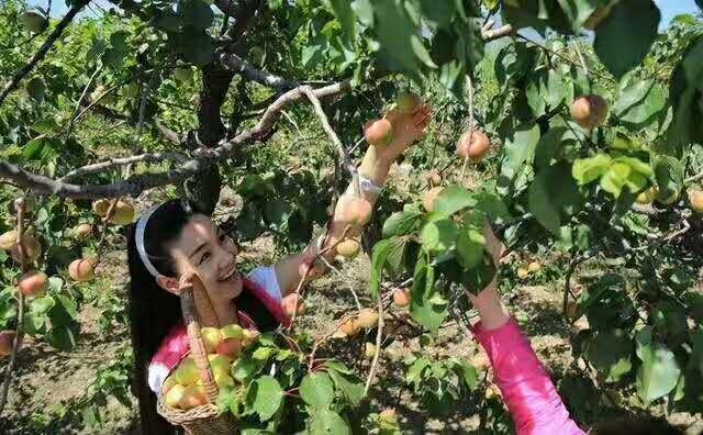 词风雅韵-冯振宇｜十里荷塘菡萏香一河碧水秀波光