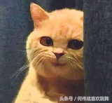 单独居住叫外卖注意什么,叫外卖小哥注意事项