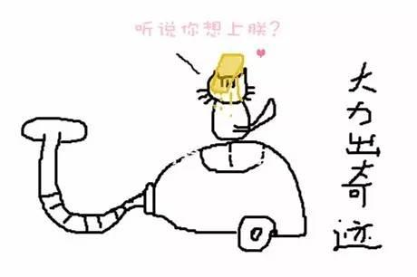 剃除毛发,白猫剃毛