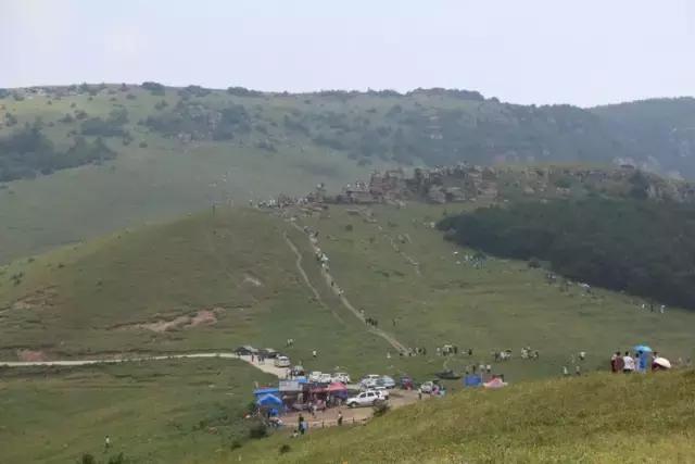山西历山舜王坪大草原攻略,看云海高山草甸的地方