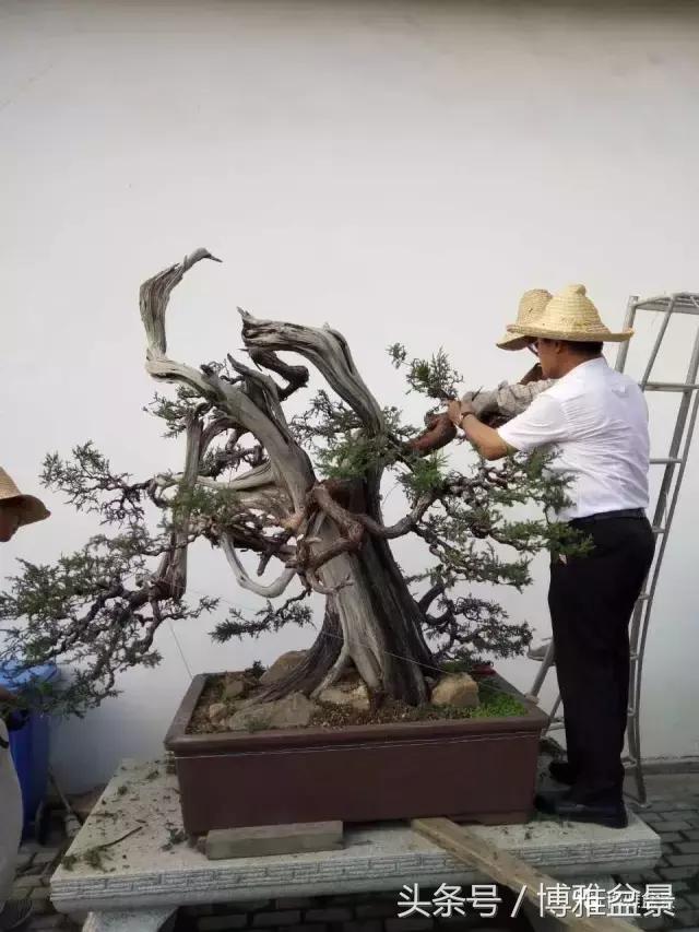 清逸园，一座闹中取静的“文人园林”