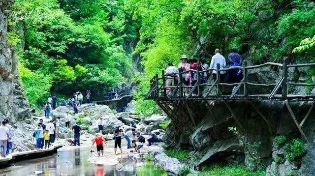 词风雅韵-冯振宇｜十里荷塘菡萏香一河碧水秀波光