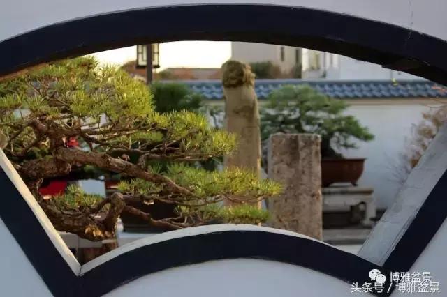 清逸园，一座闹中取静的“文人园林”