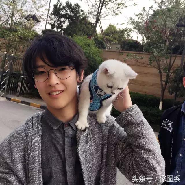 修图师会用哪些修图软件,修图师都用ps么