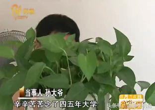 超实用丨毕业证寄丢怎么办？（附：八大重要证件丢失补办攻略！）