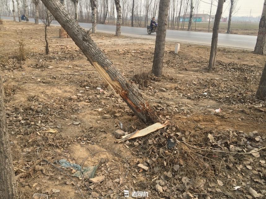 车撞树上了都有哪些地方坏,我的车撞了对方全责怎么理赔